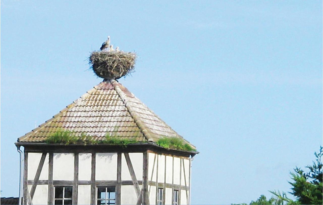 Herrenhaus Luebbenow المظهر الخارجي الصورة